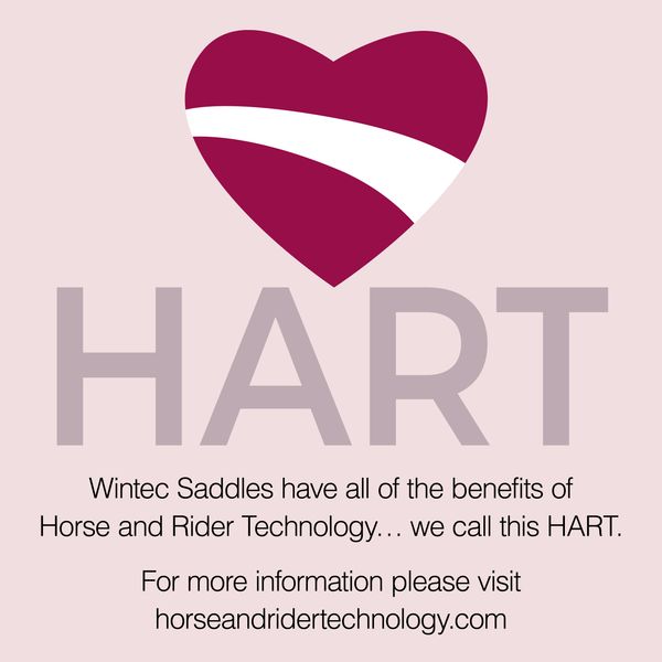 Wintec 500 WIDE Dressage Hart