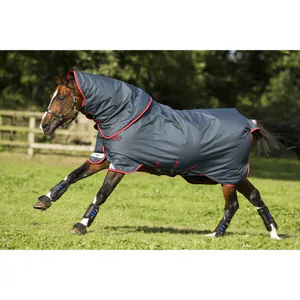Hovedbilde Amigo Bravo 12 Pluss 100g m/Disc